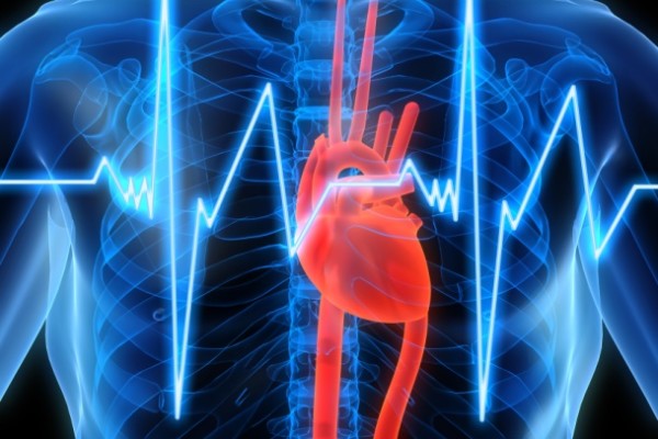 cardiovascular health risk